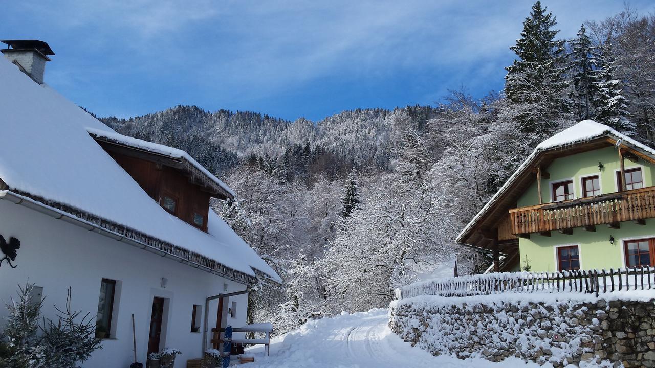 Vaznik Farm House Apartments Bled Esterno foto